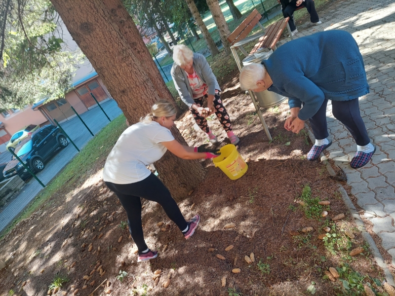 Zelený život v Nezábudke.