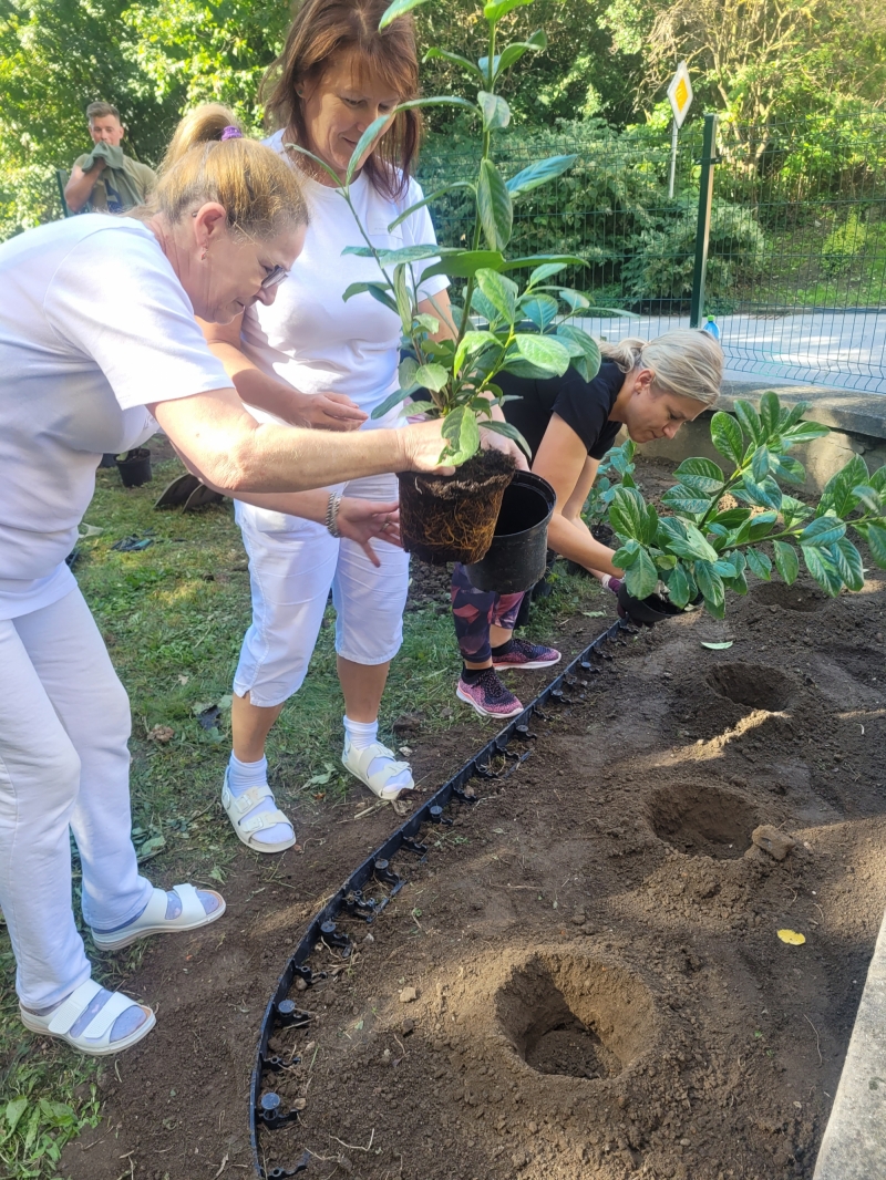 Zelený život v Nezábudke.