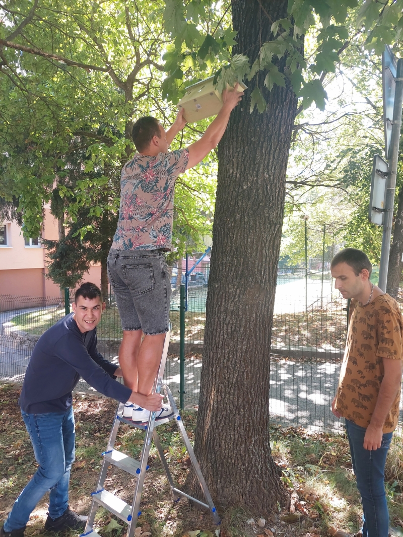 Zelený život v Nezábudke.