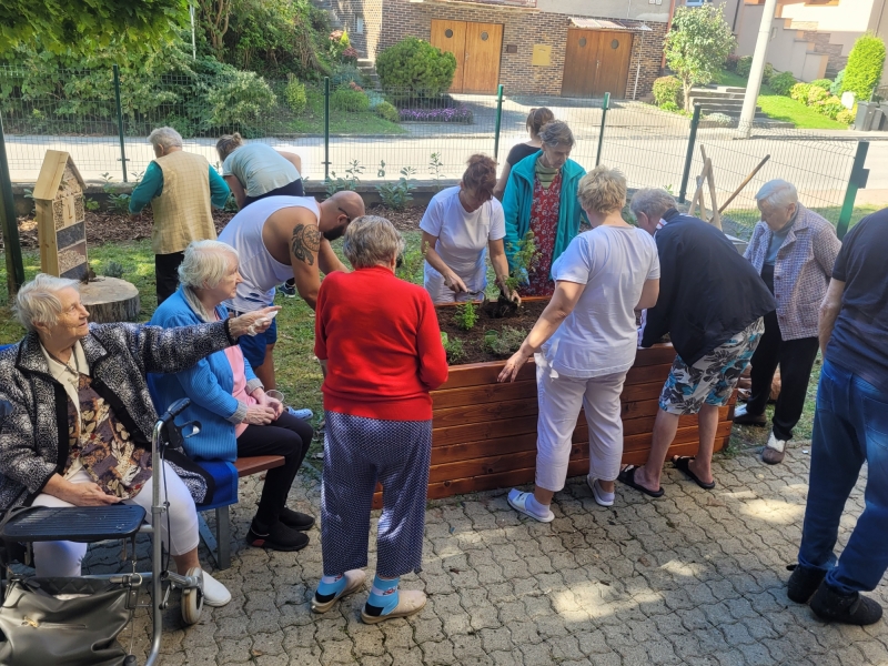 Zelený život v Nezábudke.