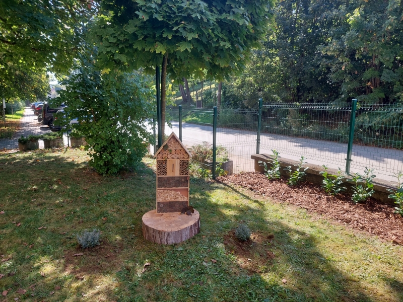 Zelený život v Nezábudke.