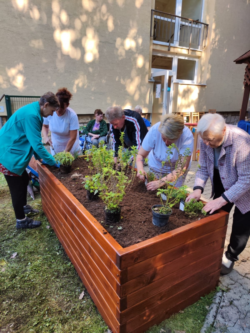 Zelený život v Nezábudke.