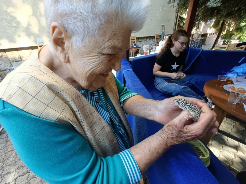 Zelený život v Nezábudke.